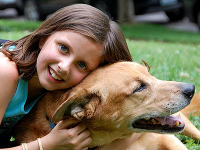 Mediation animale enfants grenoble